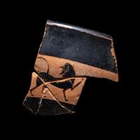 An Attic Black-Figured Fragment from a Band Cup