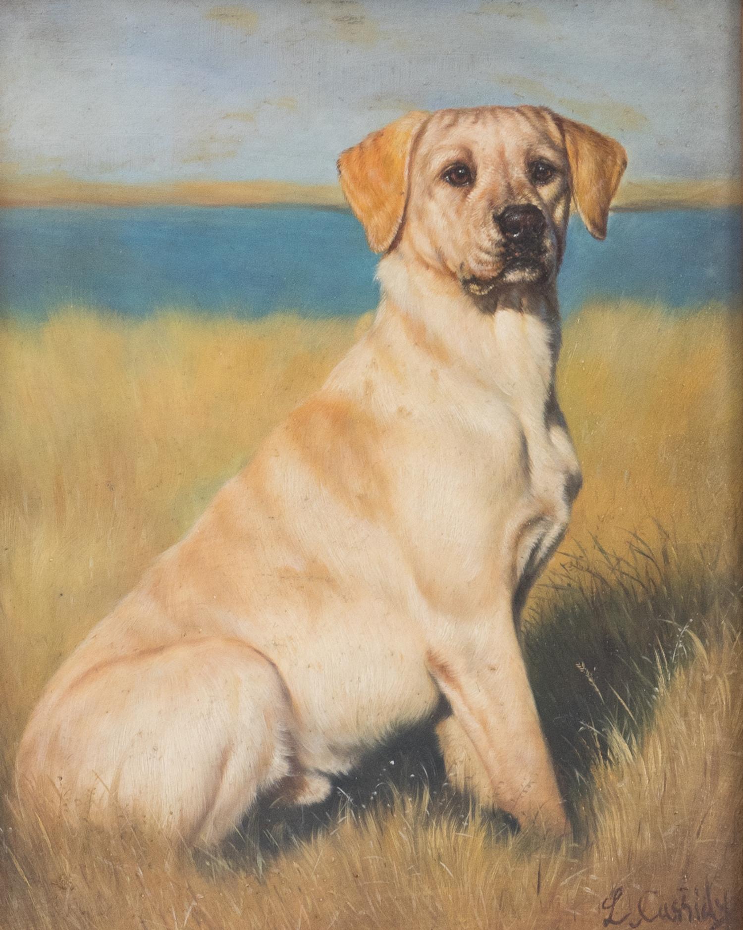 Portrait of a Labrador Retriever