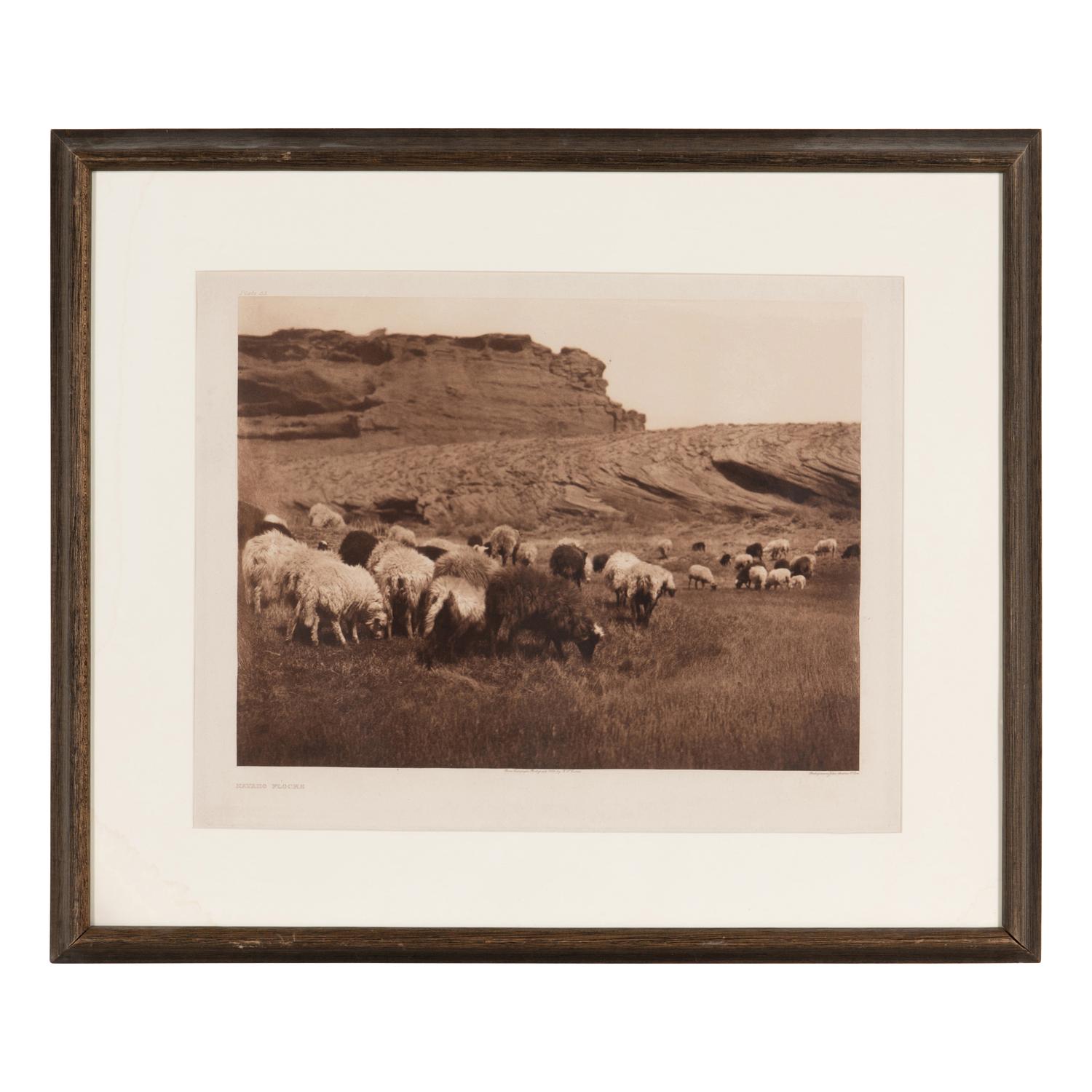 Navaho Flocks , Plate 33