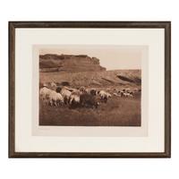 Navaho Flocks , Plate 33