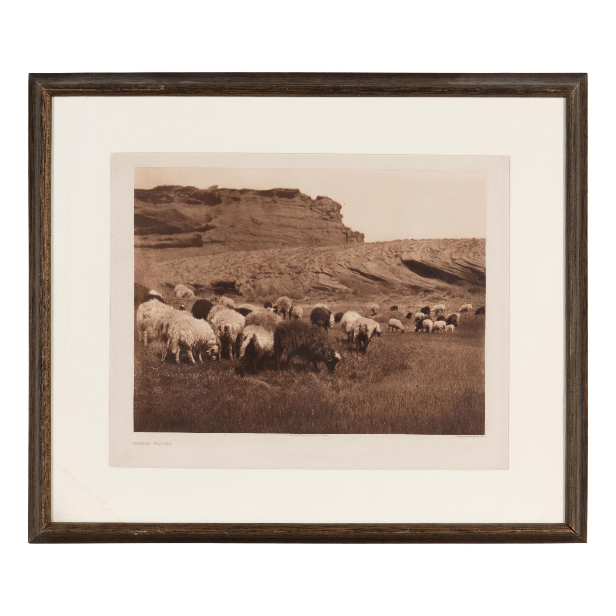 Navaho Flocks , Plate 33