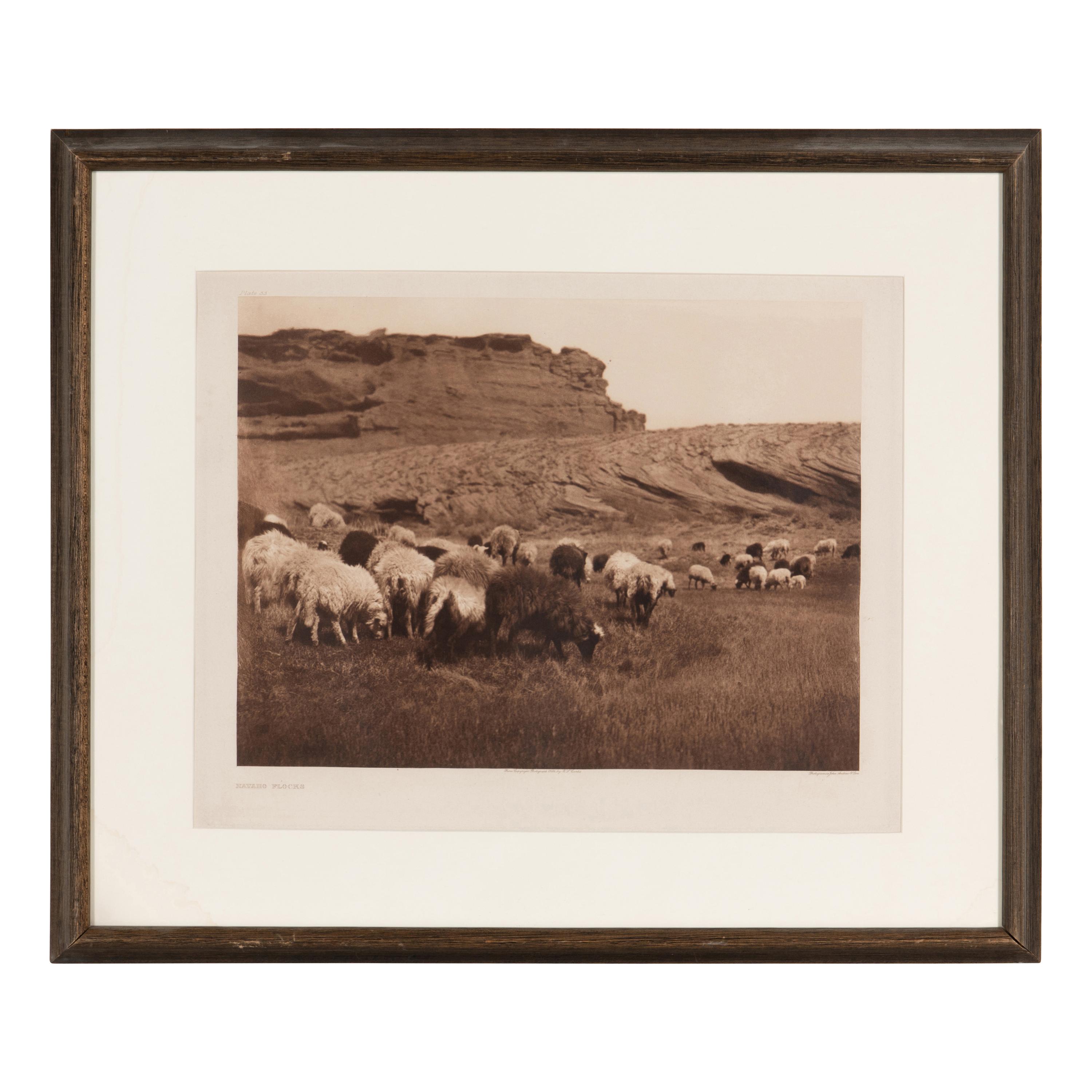 Navaho Flocks , Plate 33