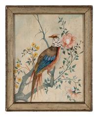 Three Illustrations of Birds