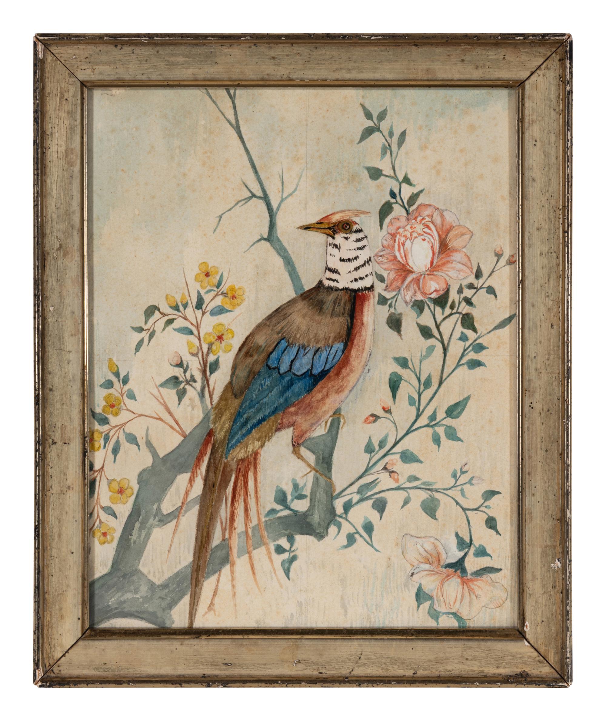 Three Illustrations of Birds