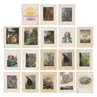 [Natural History] Thornton, Robert John. Group of 18 botanical plates from the 1812 quarto edition of "Temple of Flora"