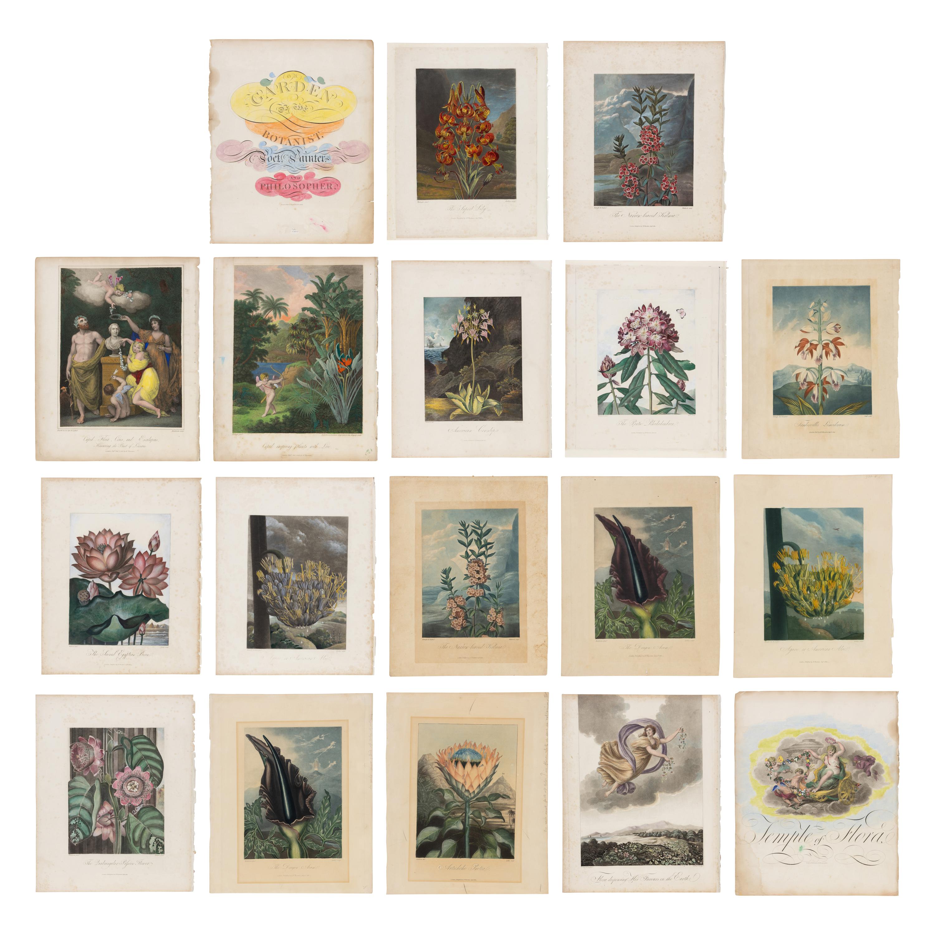 [Natural History] Thornton, Robert John. Group of 18 botanical plates from the 1812 quarto edition of "Temple of Flora"