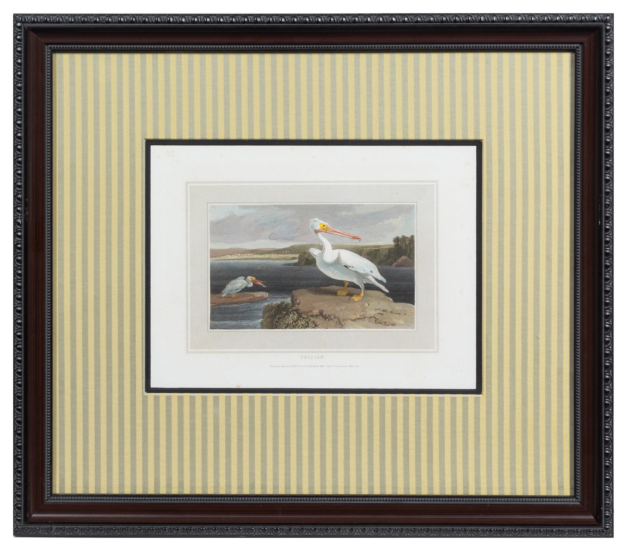A Group of Four Prints Each 8 1/8 x 11 7/8 inches (visible).
