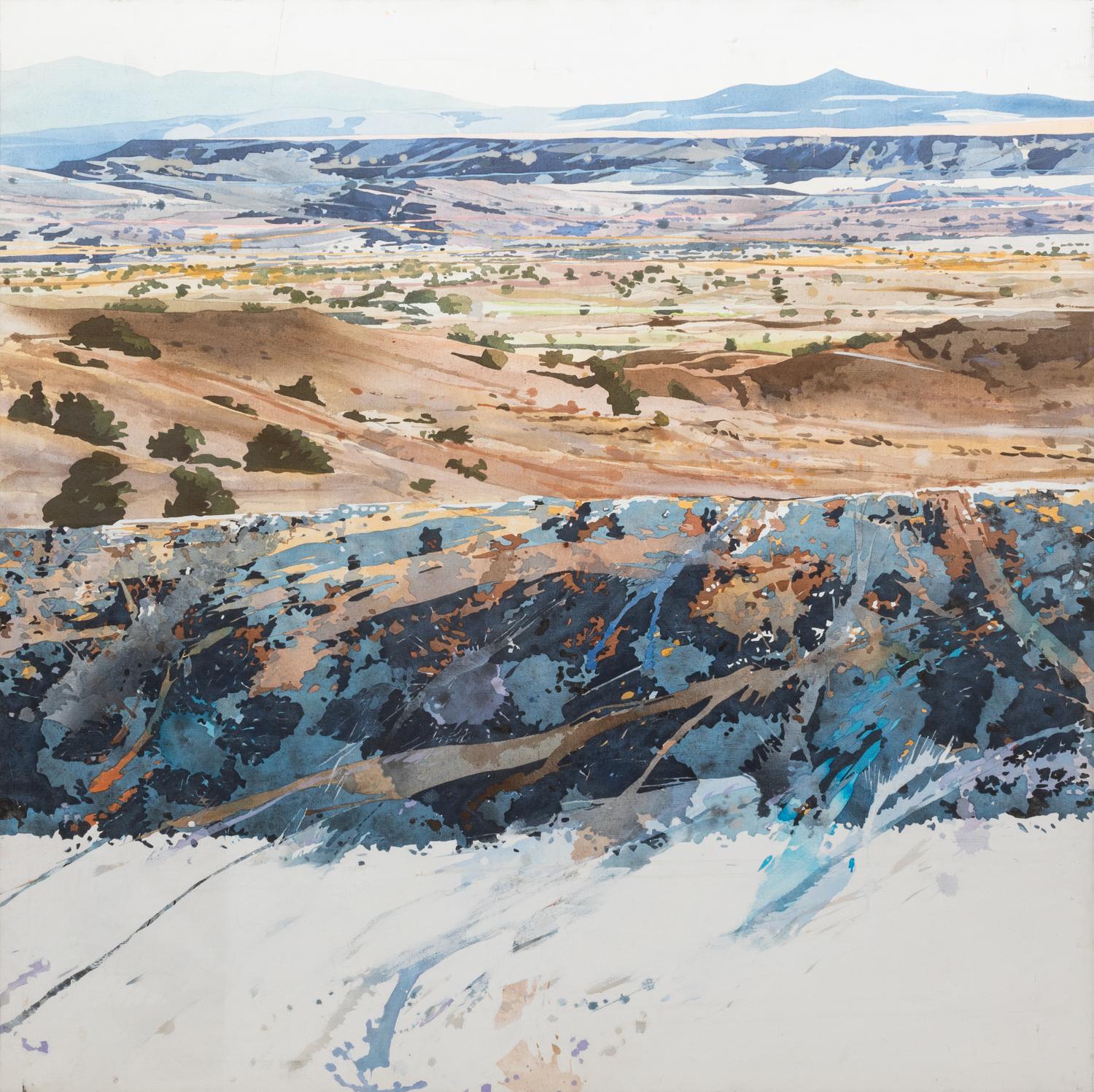 La Bajada Lichen #1