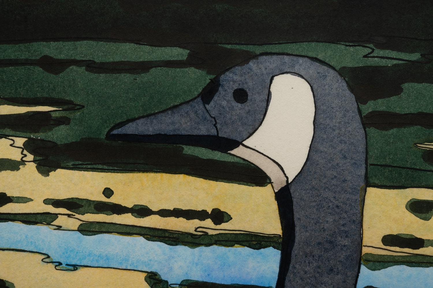Canadian Geese