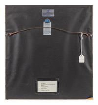 Cool Zebras #6