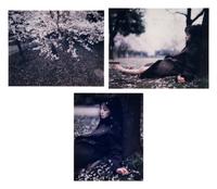 Nagasaku Hiromi wears Louis Vuitton , 1999 (triptych)