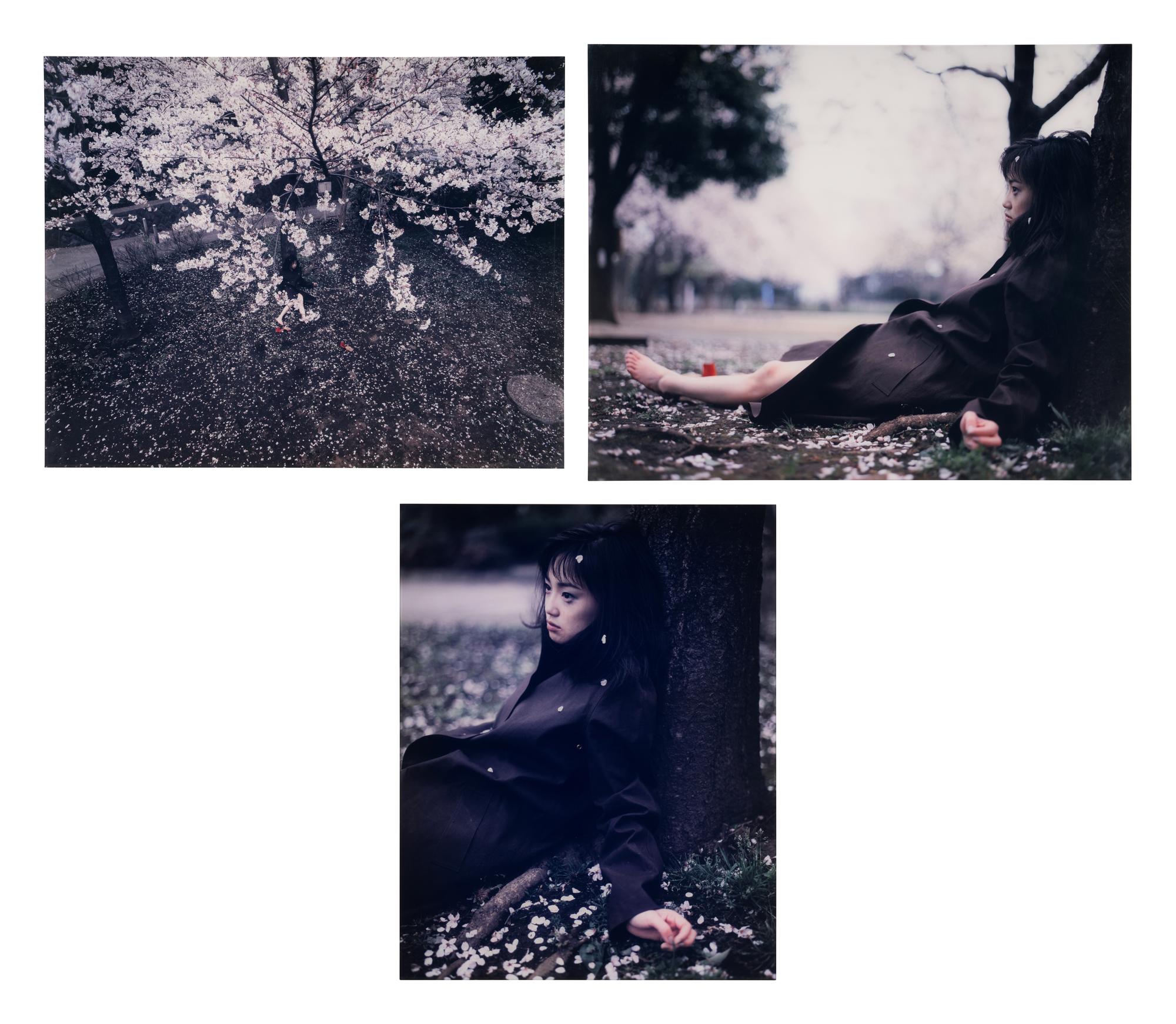 Nagasaku Hiromi wears Louis Vuitton , 1999 (triptych)