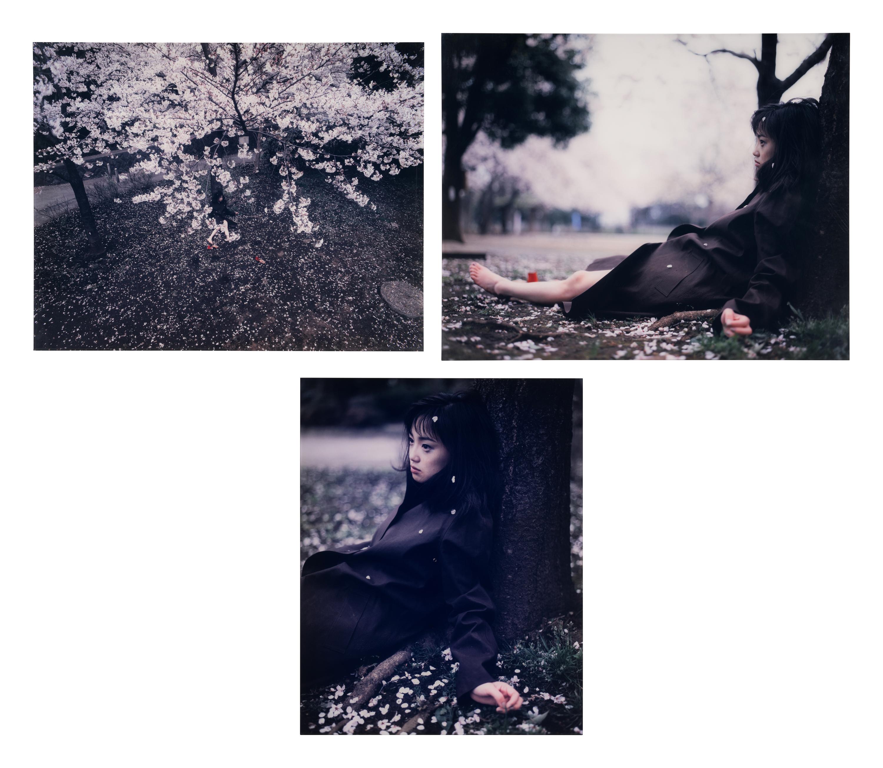 Nagasaku Hiromi wears Louis Vuitton , 1999 (triptych)