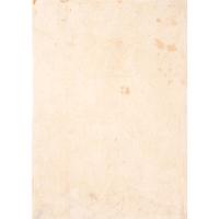 After Albrecht Dürer: