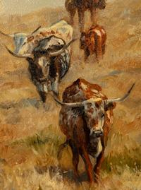 Cattle Roundup