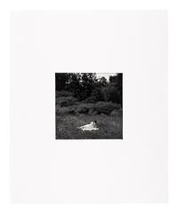 Harry Callahan (1912–1999) Eleanor, Port Huron, 1954