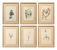 A Set of Six Botanical Artworks