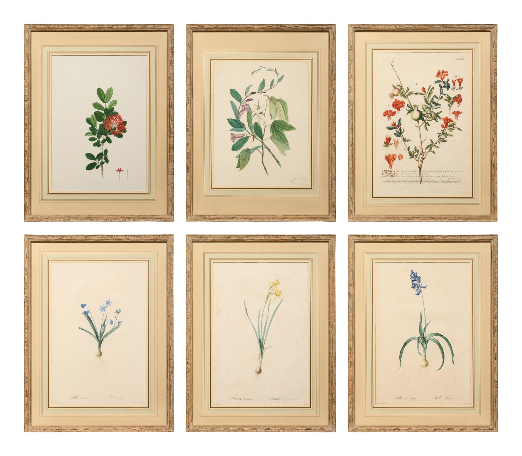 A Set of Six Botanical Artworks