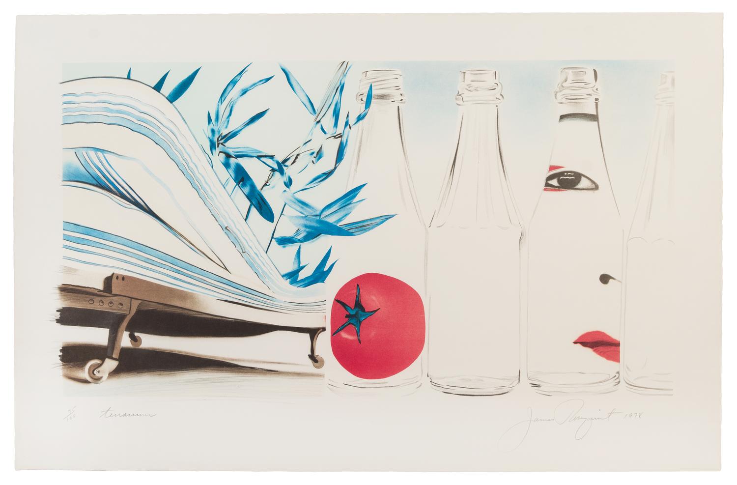 James Rosenquist, (American, b. 1933), Terrarium, 1978