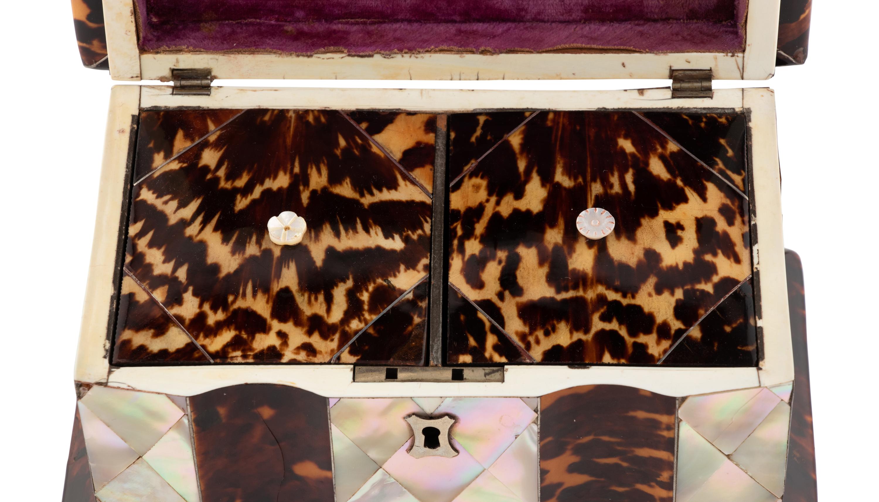 A Regency Tortoise Shell and Mother-of-Pearl Tea Caddy