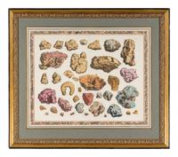 Five Framed Hand-Colored Engravings Depicting Mineral and Shell Specimens