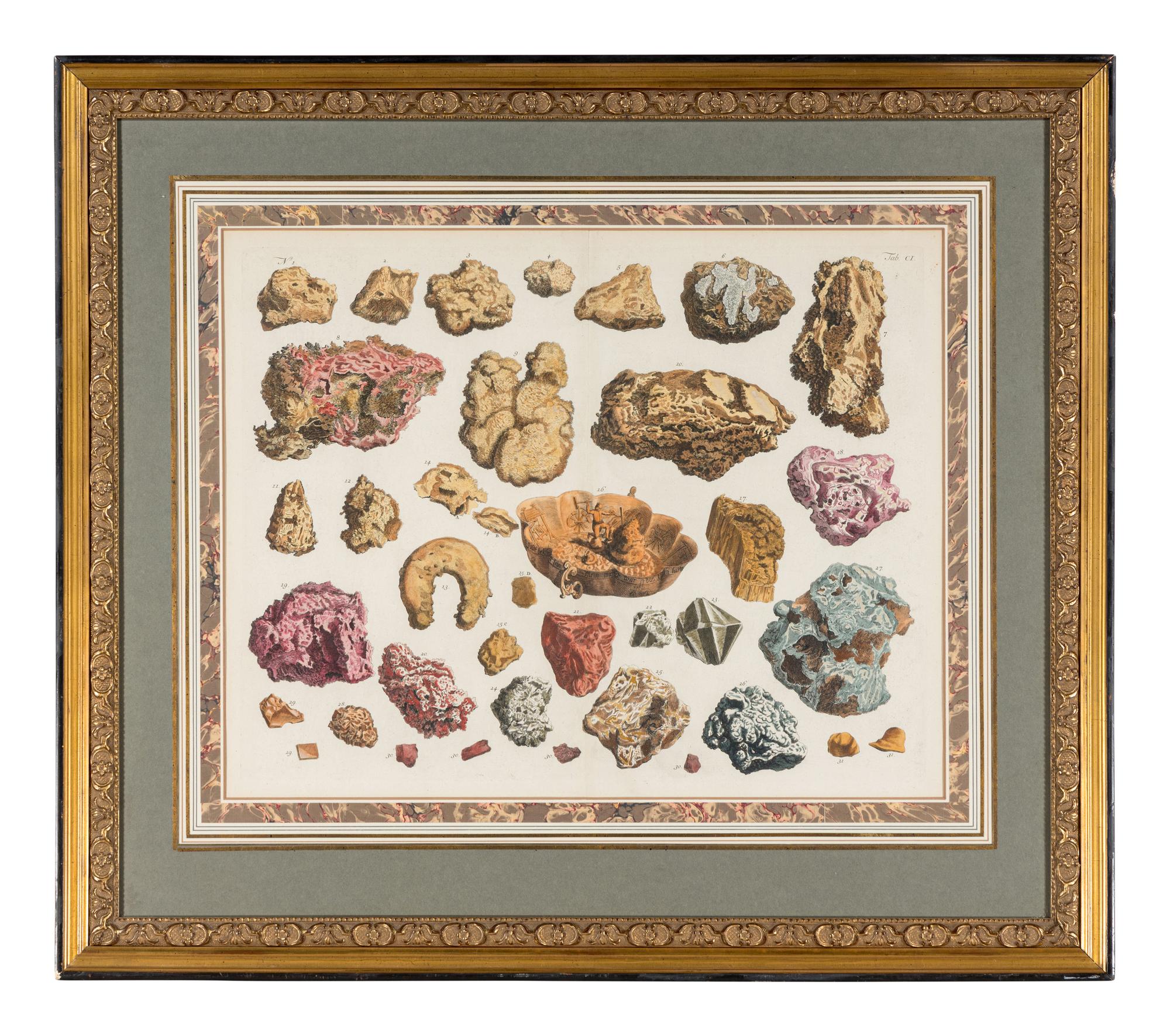 Five Framed Hand-Colored Engravings Depicting Mineral and Shell Specimens