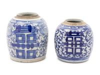 Two Chinese Blue and White Porcelain Ginger Jars