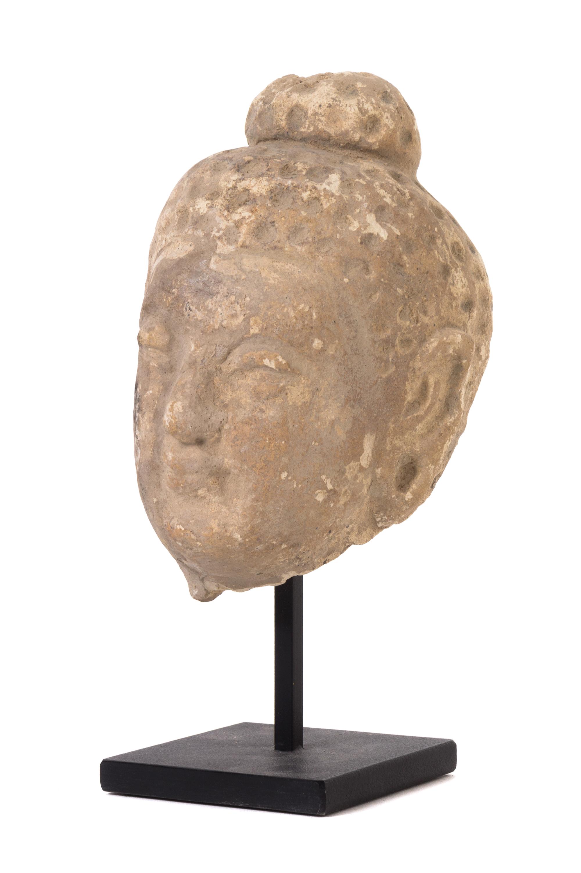 A Gandharan Stucco Head of Buddha Height 5 1/2 inches.