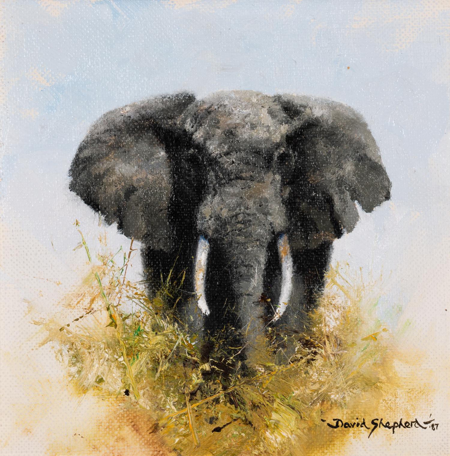 Elephant Marching