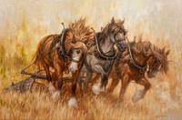 Horses