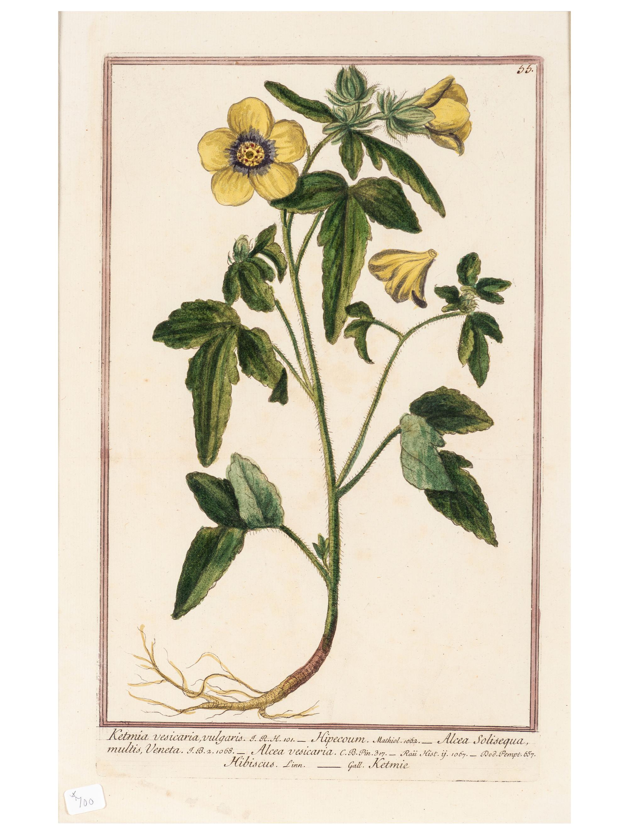 Giorgio Bonelli (Italian, 1724-1782)