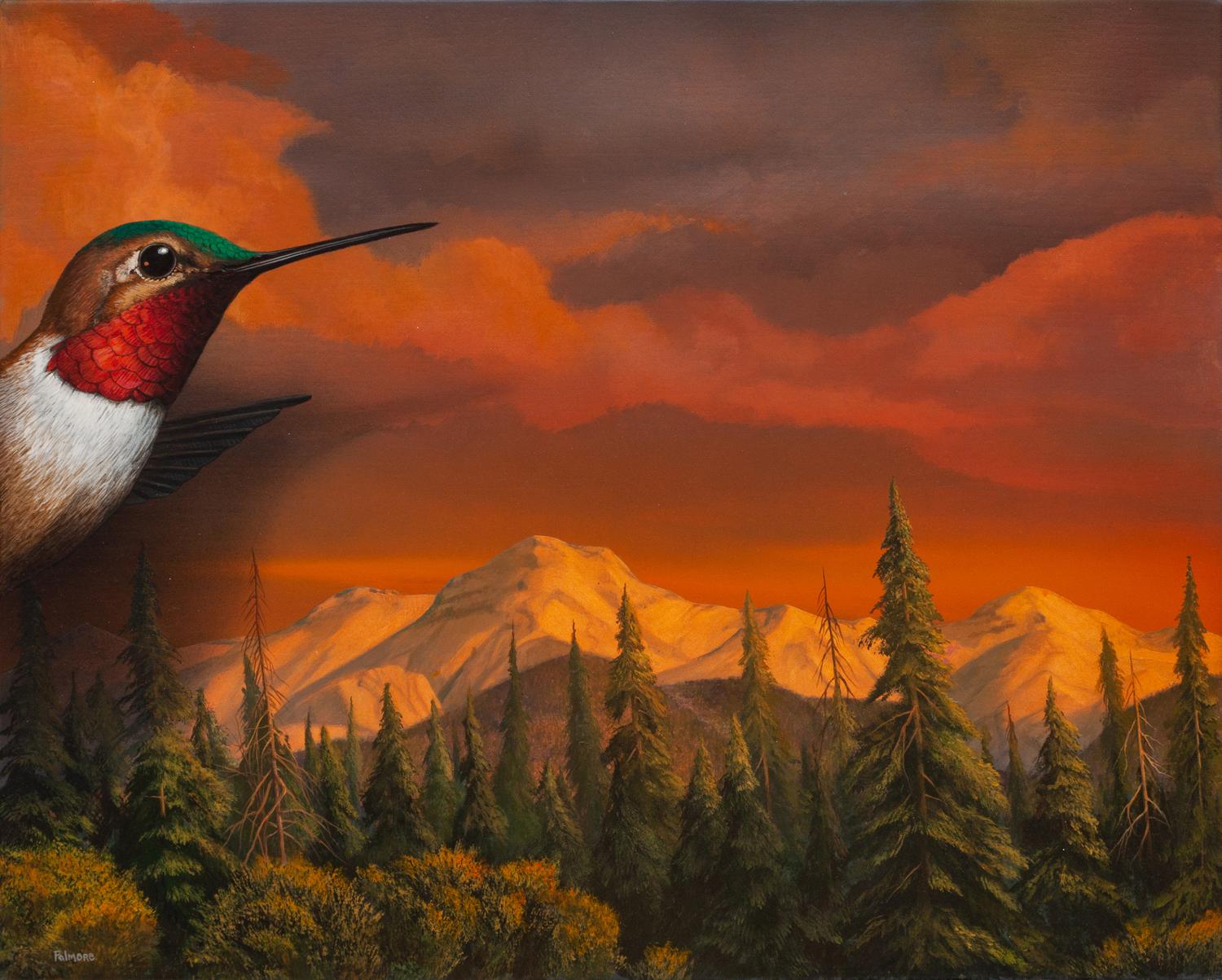 Northern Sunset