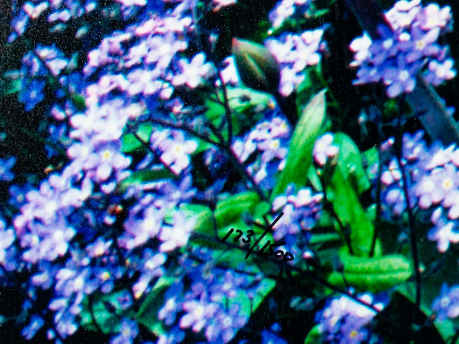 Edge of Spring , edition 173/1500