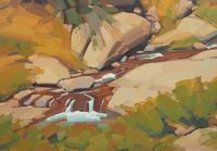 Off a Rocky Stream