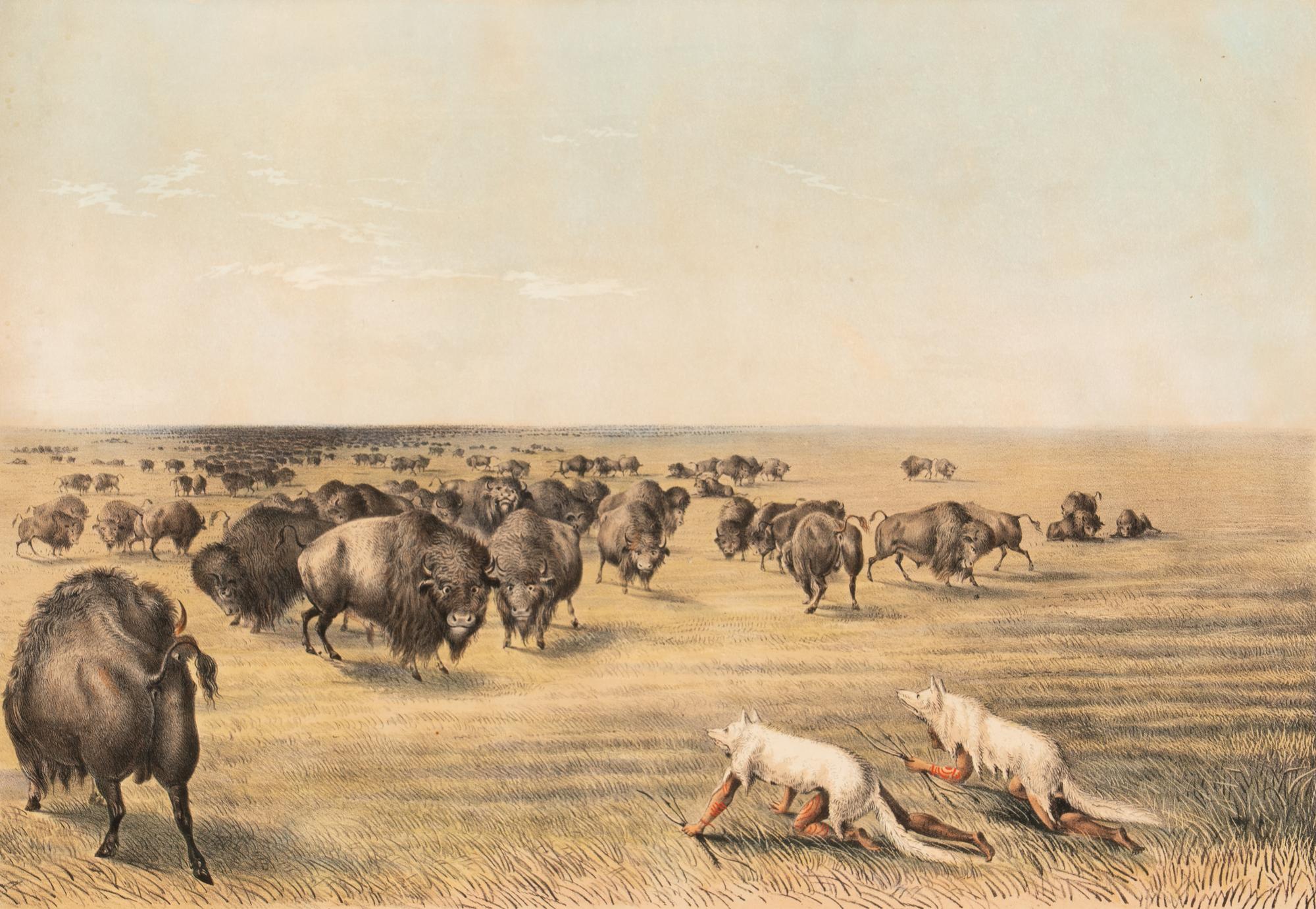 [Prints] Currier and Ives. Buffalo Hunt under the White Wolf Skin. An Indian Stratagem on the Level Prairie