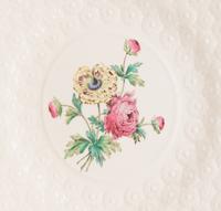A Set of Twelve Spode Ceramic Dessert Plates