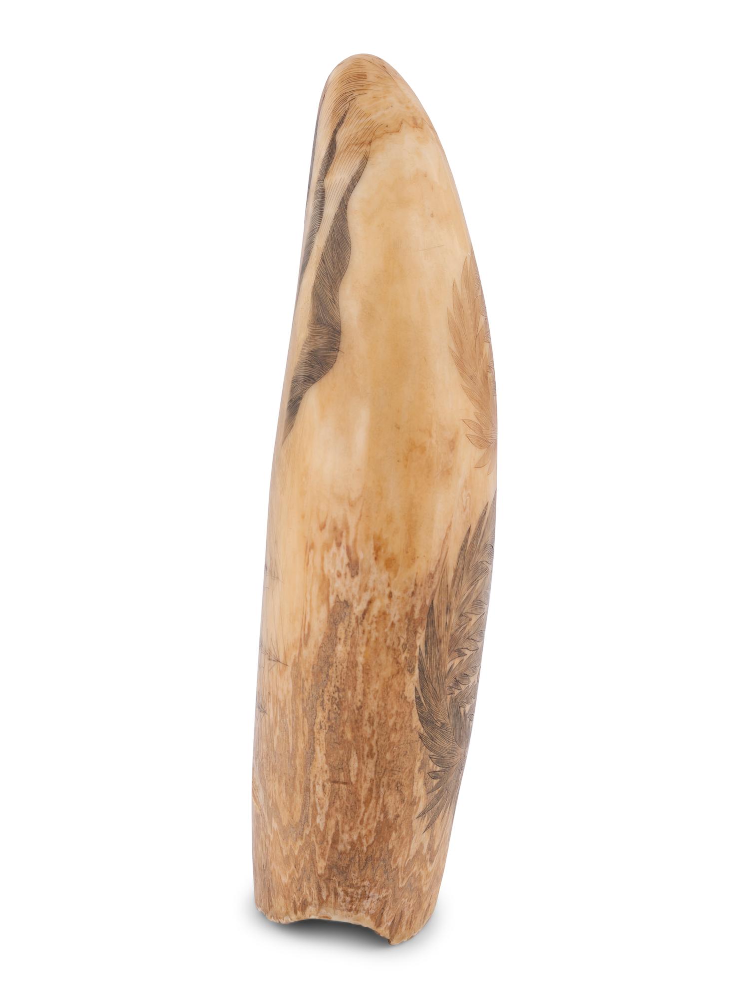 A Scrimshaw Tooth with Whaling Scene