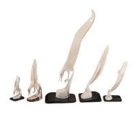 Carved Walrus Ivory Sculptures