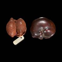 Two carved wood netsuke: a sleeping dog and a pair of quail 日本小狗与鹌鹑根付两件 Edo/Meiji period ?????