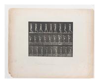 15 Plates from Animal Locomotion , 1887