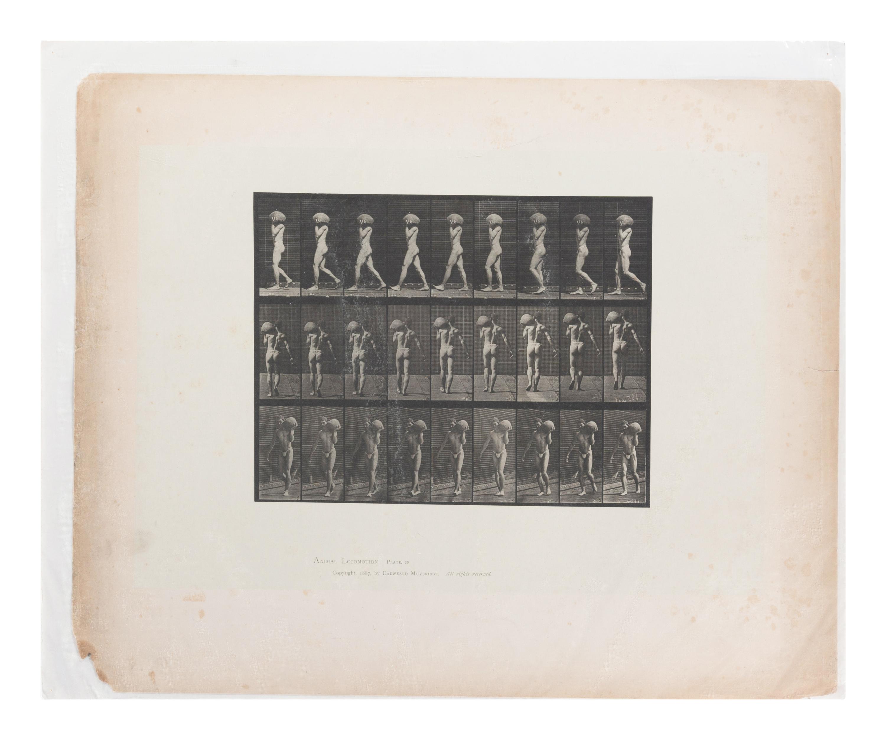 15 Plates from Animal Locomotion , 1887