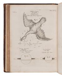 [HEVELIUS, Johannes (1611-1687)]. Philosophical Transactions . Nos. 57-68. Henry Oldenburg, editor. London: John Martyn, 1671.