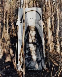 Untitled II (Everglades), A Triptych, 2003