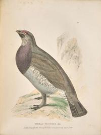 [Natural History] Richardson, John, and William Swainson, and William Kirby. Fauna Boreali-Americana; or the Zoology of the Northern Parts of British America...