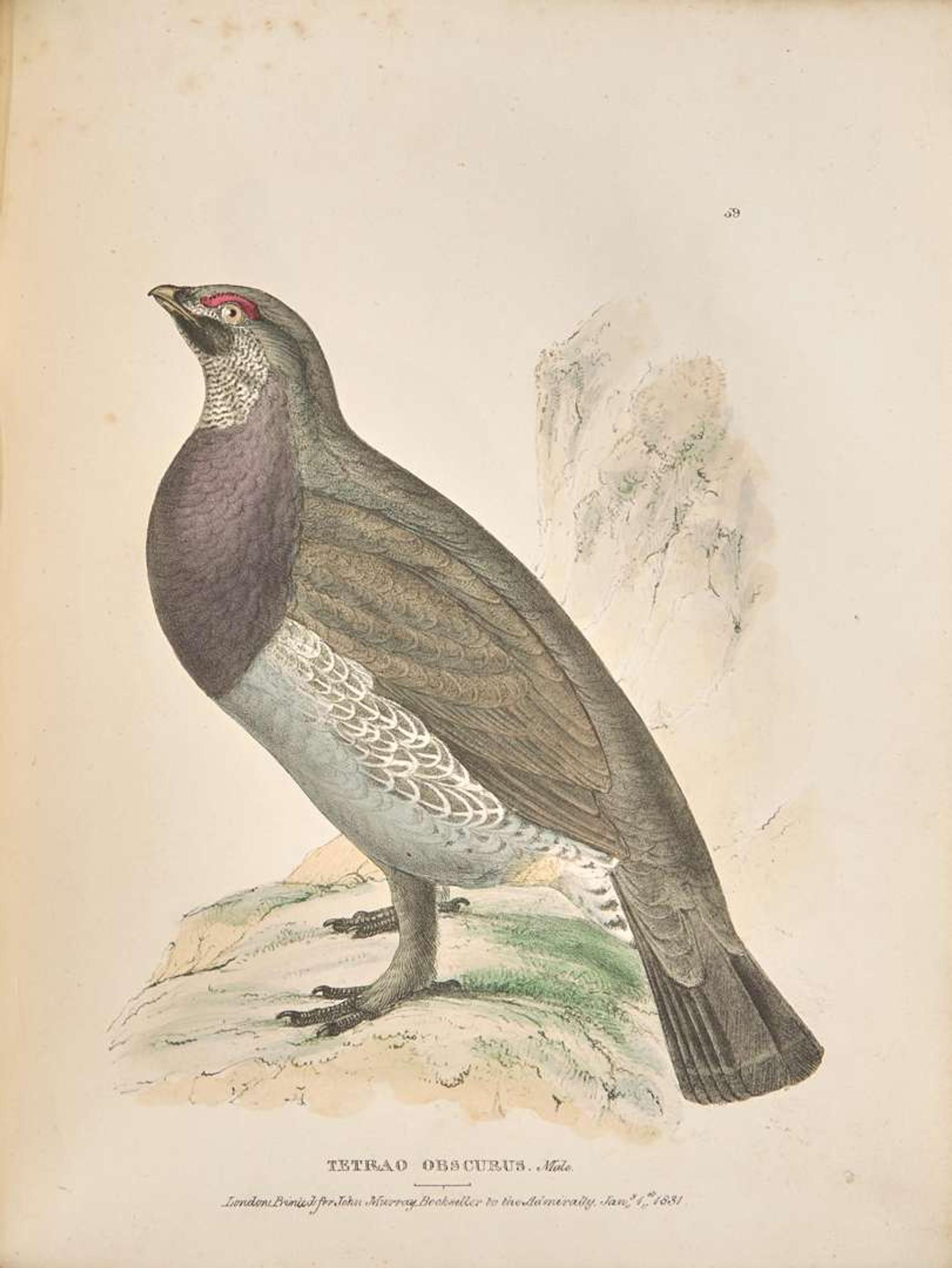 [Natural History] Richardson, John, and William Swainson, and William Kirby. Fauna Boreali-Americana; or the Zoology of the Northern Parts of British America...
