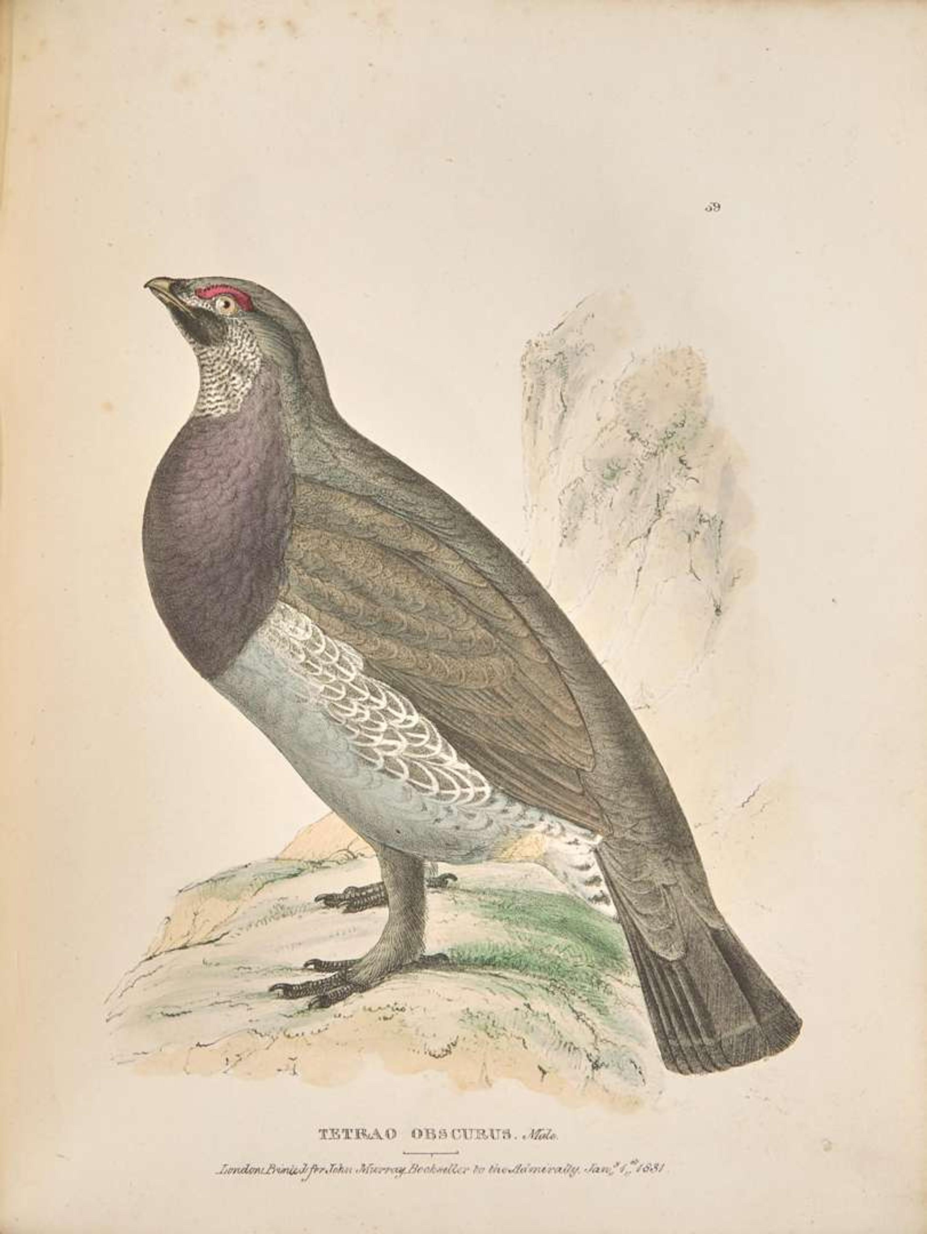 [Natural History] Richardson, John, and William Swainson, and William Kirby. Fauna Boreali-Americana; or the Zoology of the Northern Parts of British America...