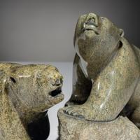 Bears