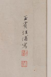 Wang Pu