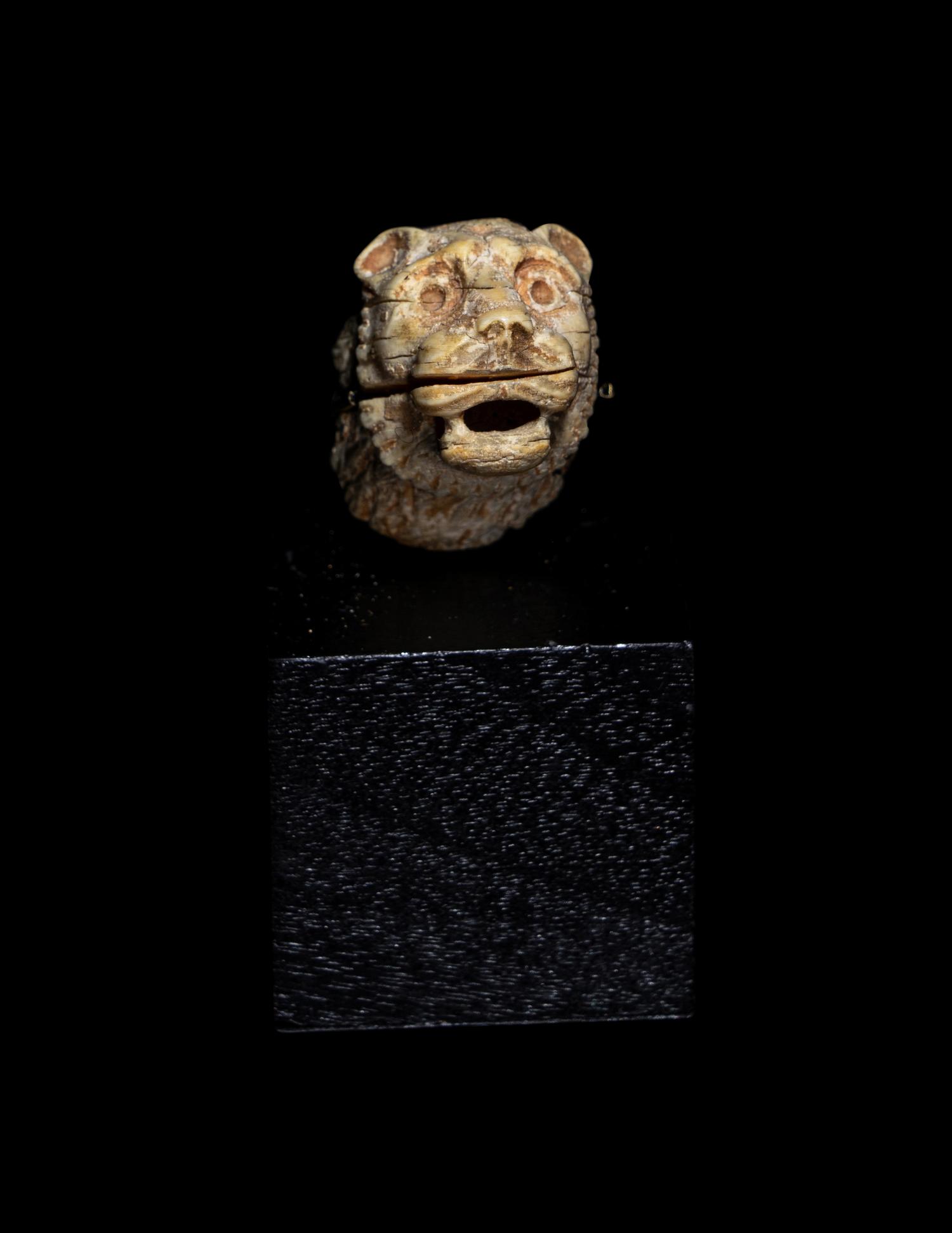 An Egyptian Bone Head of a Lion