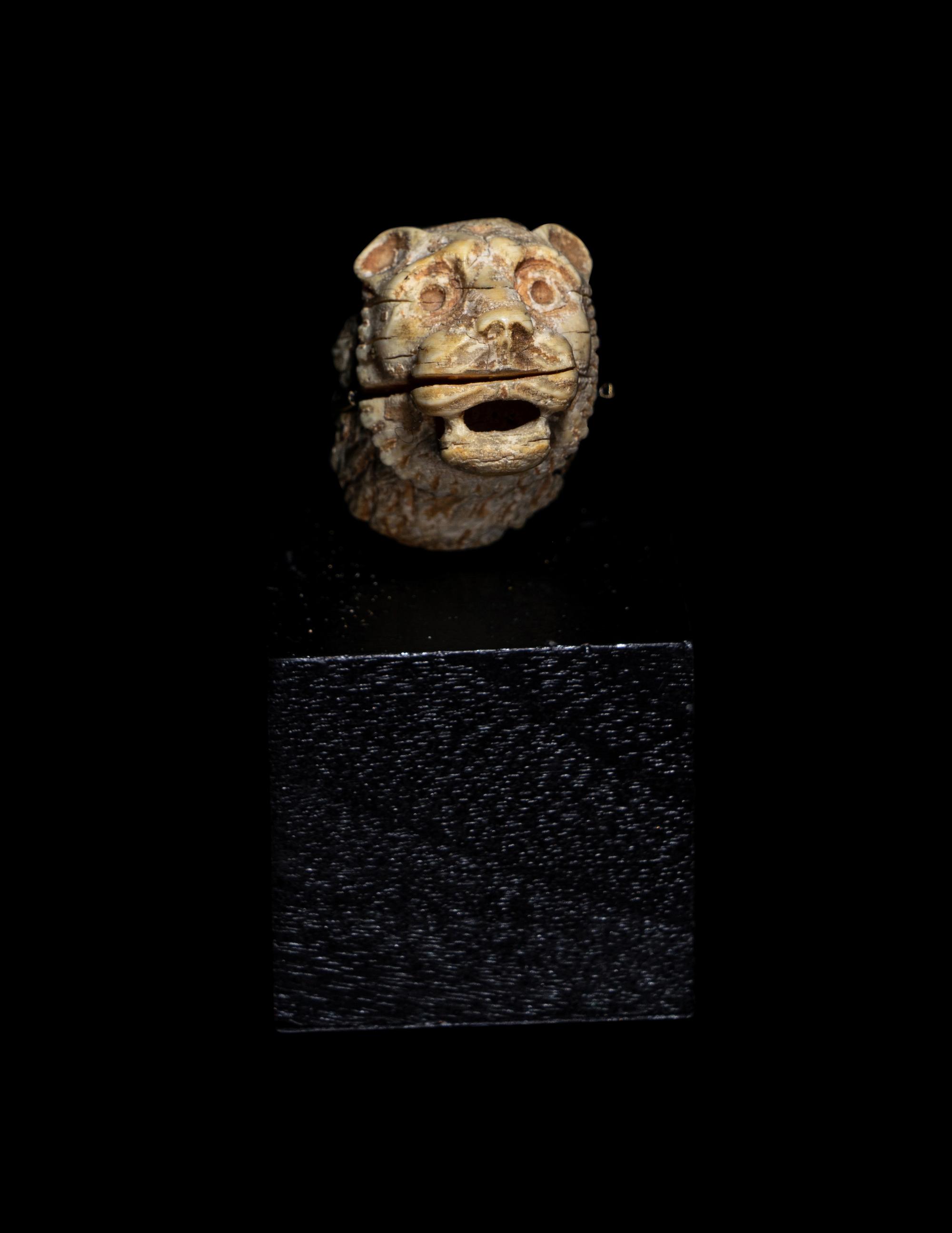 An Egyptian Bone Head of a Lion
